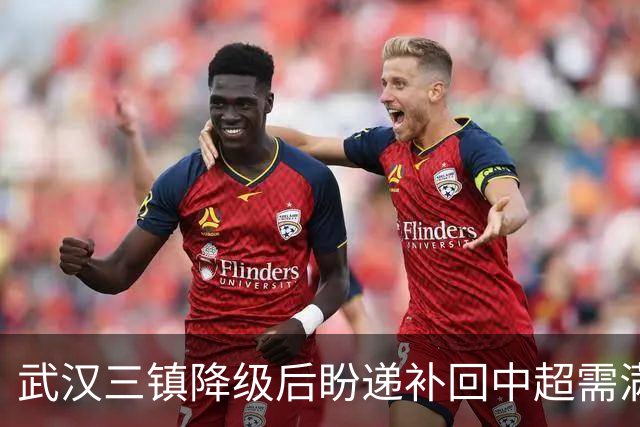 武汉三镇降级后盼递补回中超需满足三条件
