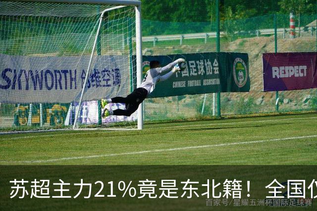 苏超主力21%竟是东北籍！全国仅11.6%，这局到底是谁选了谁？